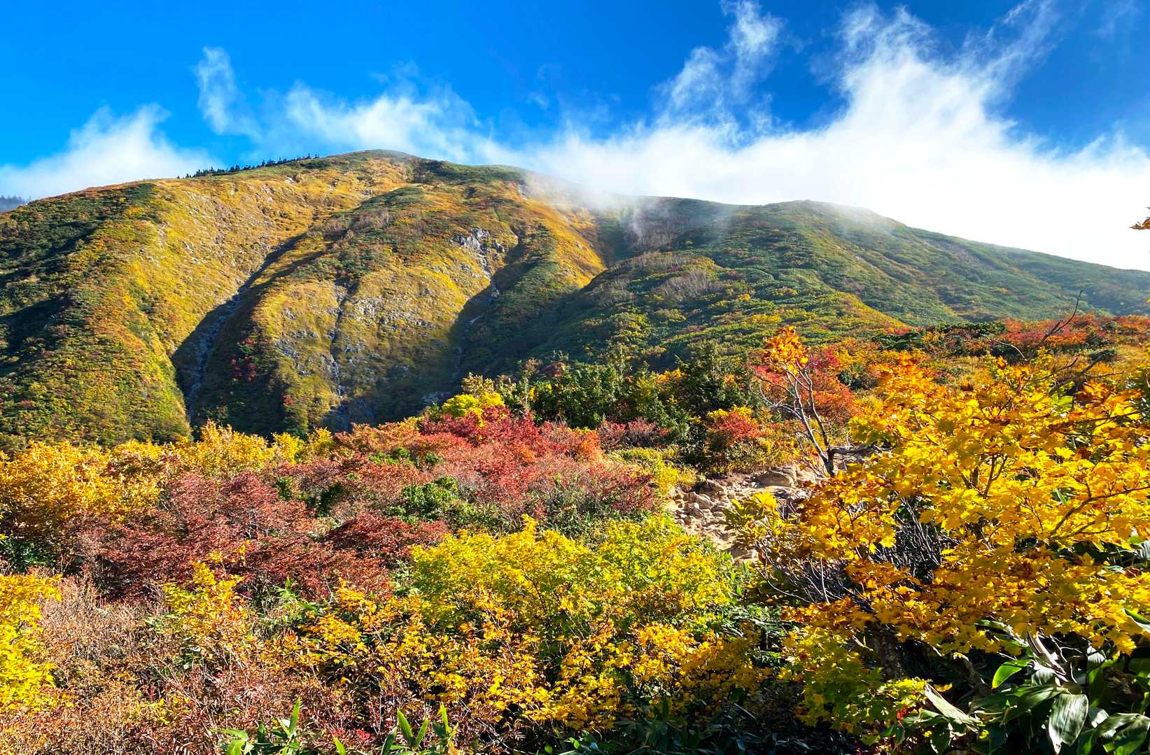 井戸尾根コース | 「ニセ巻機山」を越え、池塘と草原広がる織姫伝説の山頂への写真