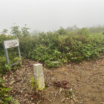 さわがに山に到着。