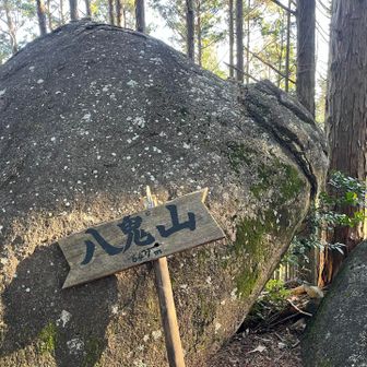 ここが頂上。展望は有りません。