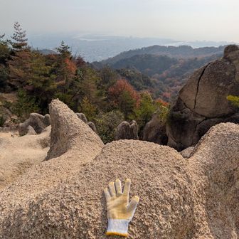 一応軍手とスパッツ装備