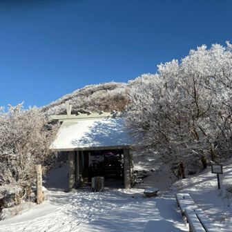 こりゃ御利益ありそうだ！