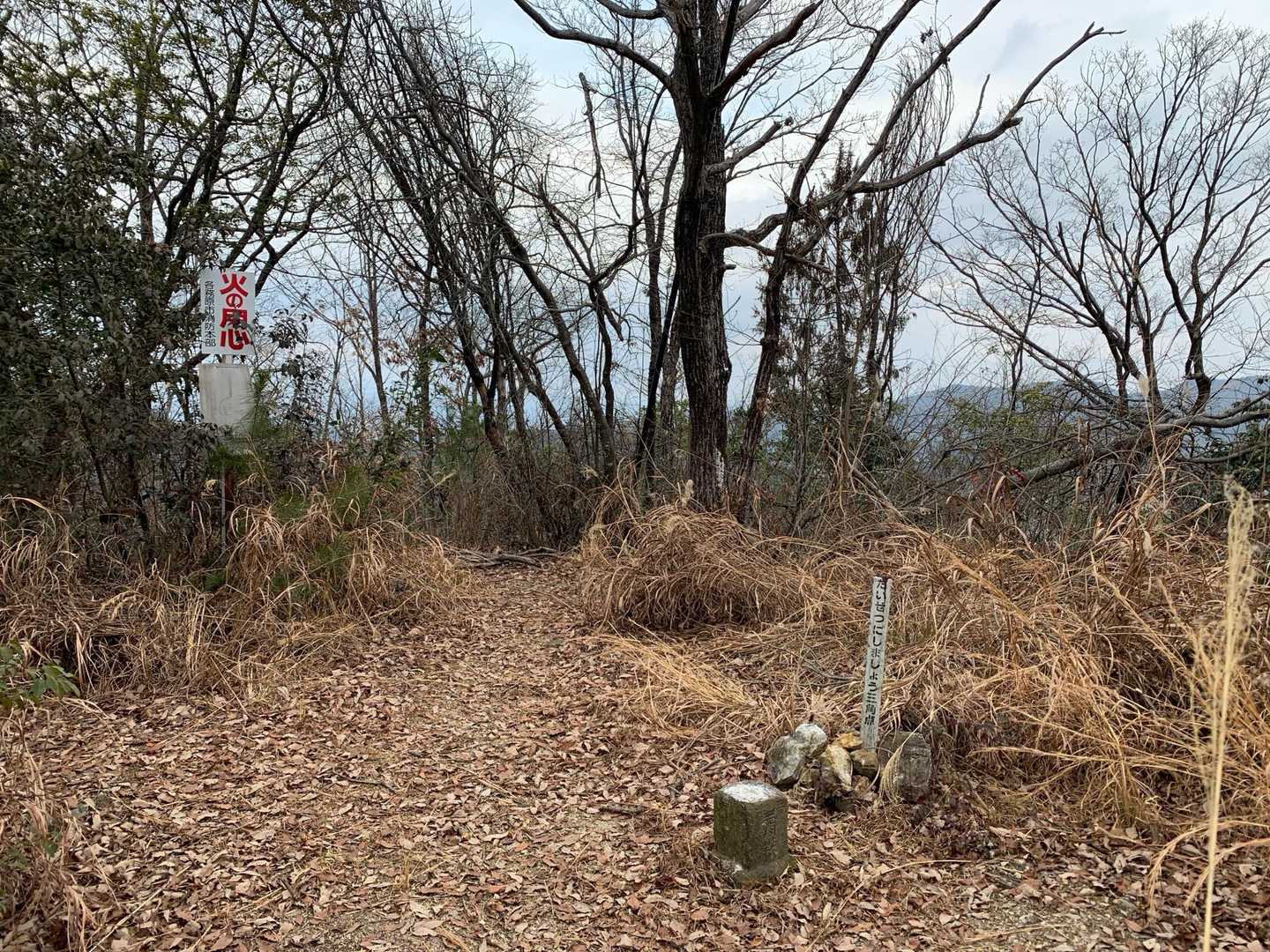 権現山山頂。山名の看板はこの奥にありました。