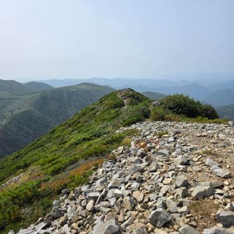 下山します👣