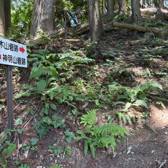 柵を超えたら、き、急登！？
頑張るしか無いなぁ😅