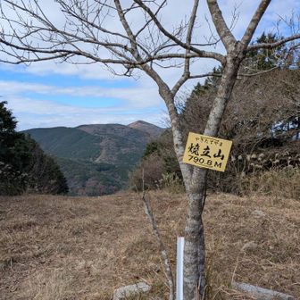 ⛰️焼立山　790m
山頂でお会いした方によると、福智山側から焼立山に登ってくる斜面がすごくきついらしい😯