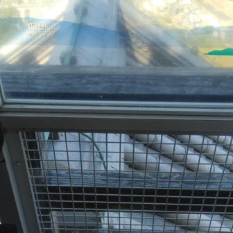 岐阜城から南方