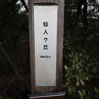 ４つ目のピーク