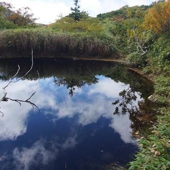 池の右縁に辛うじて道