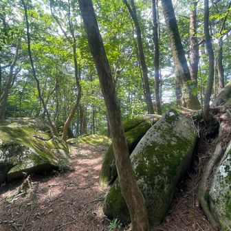 他に岩など無かったのにここだけ岩があるのね～ﾌｼﾞｷﾞ