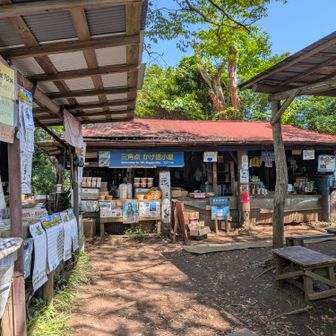 霞柱推し

ここでさっきの1リットルを補給

トレラン風の若者達は、コーラとか炭酸系飲んでた

しばらくのんびりしてたんとけど、その間に水を買ったのは俺以外に誰もいなかった、予想外