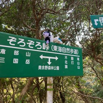 この写真を撮った後、バイキンマンは後ろにある坂を10メートルくらい転げ落ちていきました。無事救出❣️