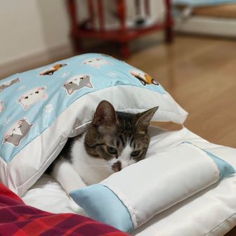 絶対無理しないマン