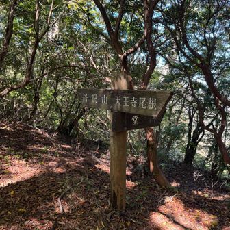 下山は堂平からの人が多そう。
