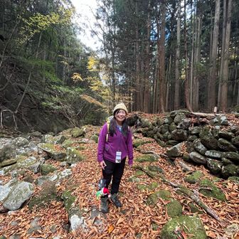 この辺からわかりにくいからリボン頼りに