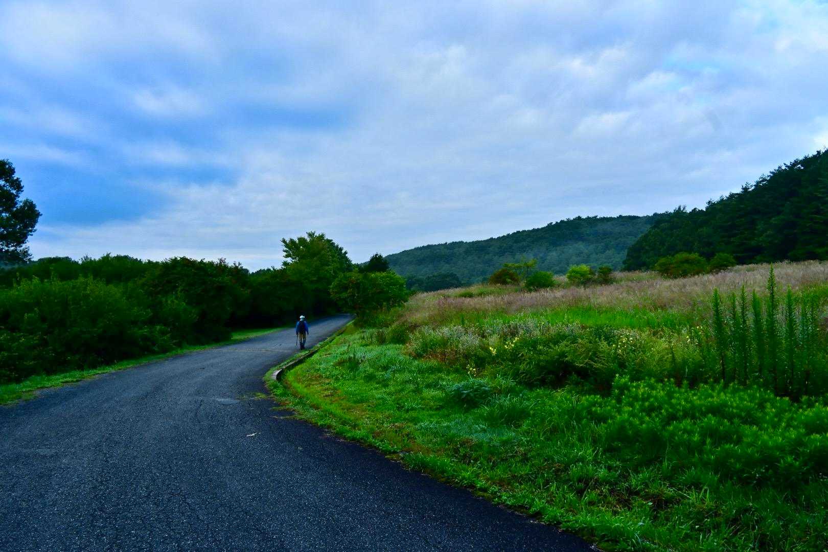 だんだん雲が迫ってきた！
そして涼しい🤣