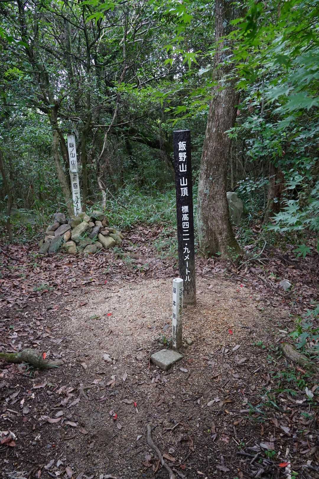 飯野山 往復コースの写真