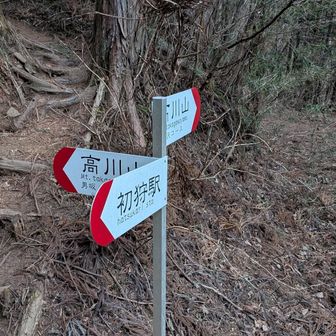 沢コースと尾根（男坂・女坂）コースの分岐。もちろん尾根に行きますよ