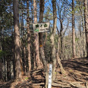 西ノ山⛰️登頂✨(出発から2時間17分)