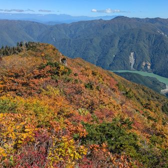 とにかく、色とりどり💛🧡♥️💚