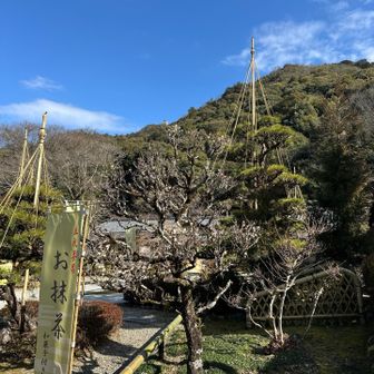 金華山 / SOPHIAさんの金華山・洞山・舟伏山の活動データ | YAMAP