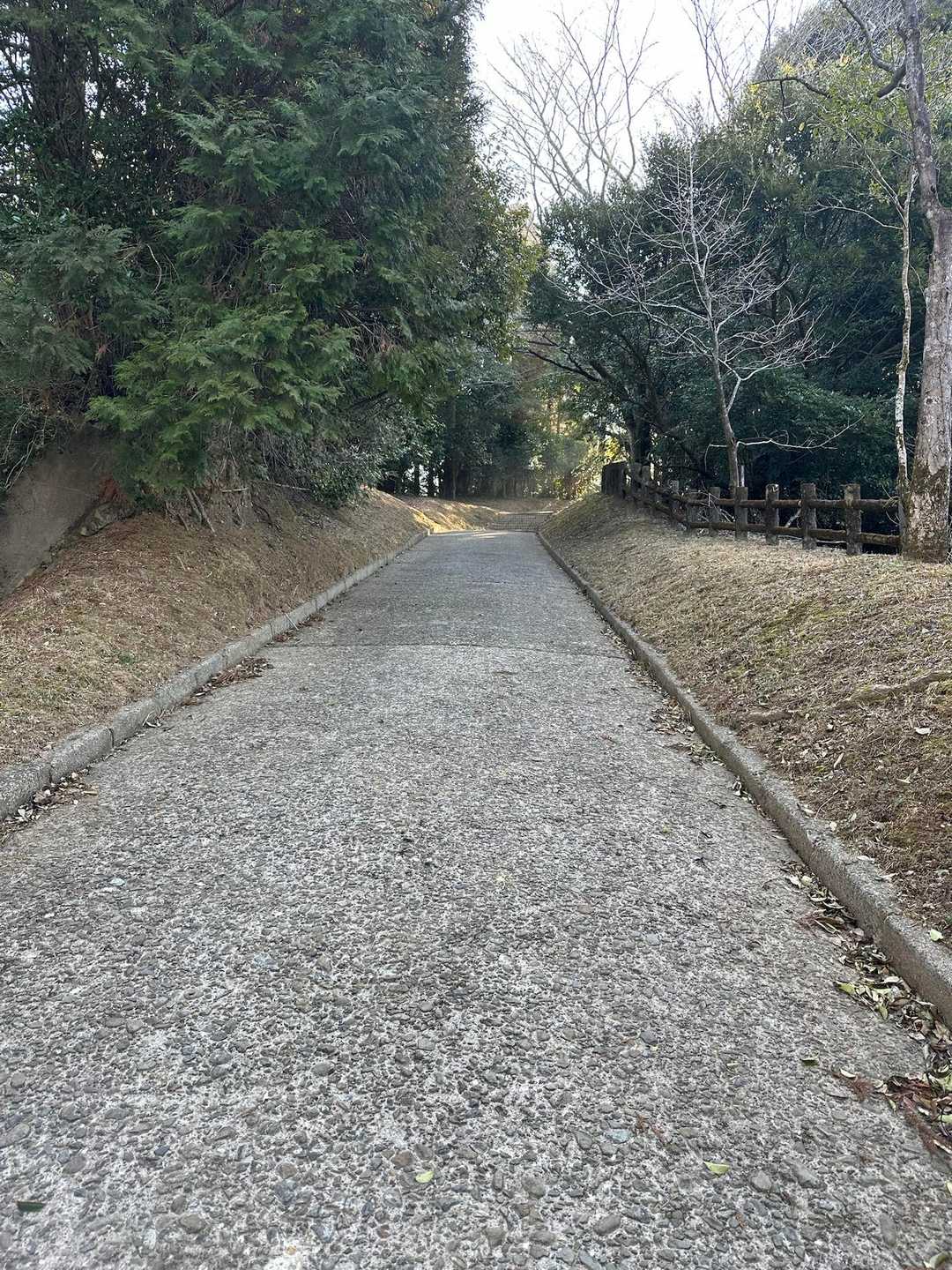 金御岳 往復コースの写真