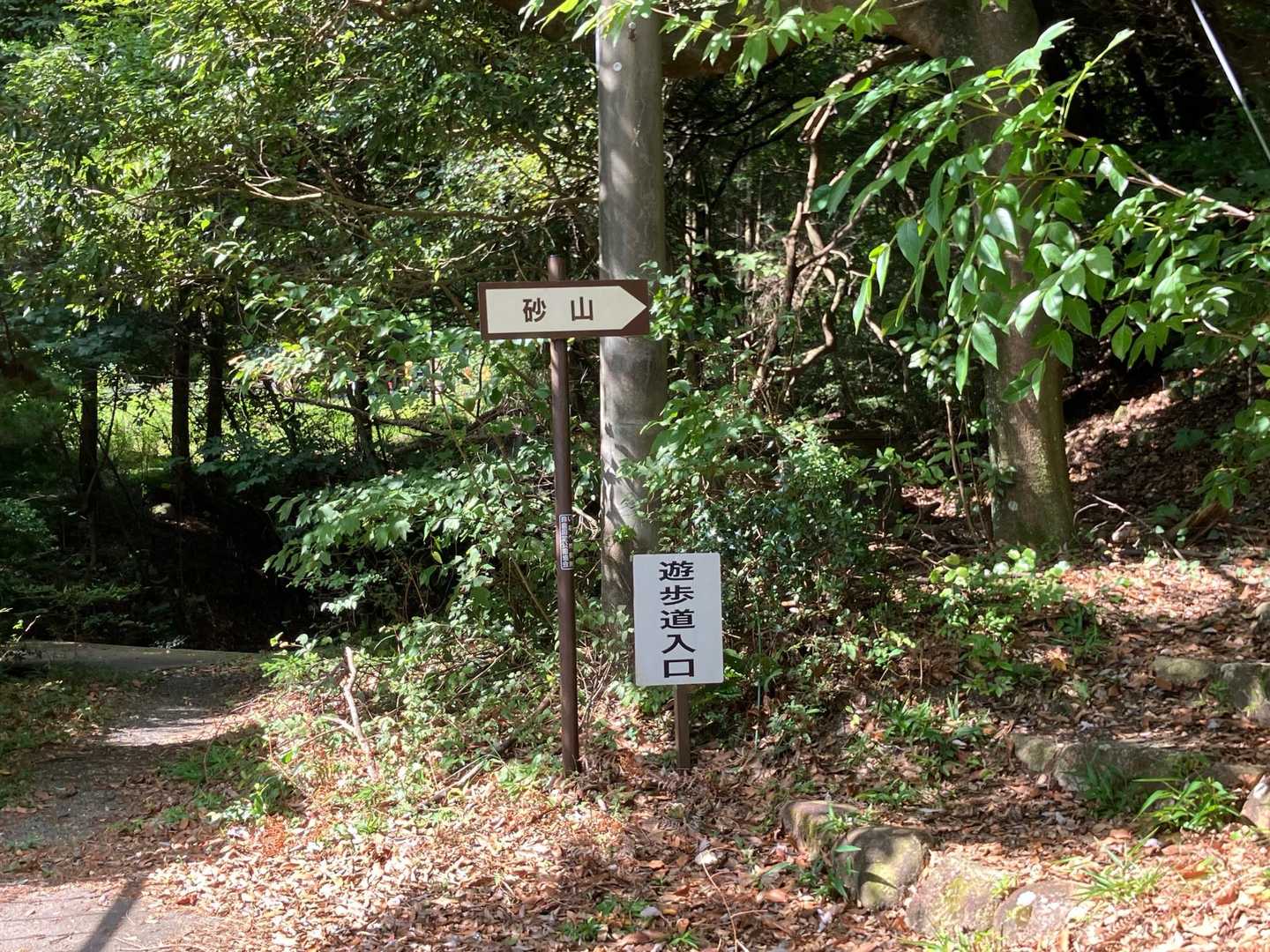 なるほど、ここから入るのか。遊歩道ってことは歩きやすいのかな？