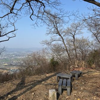 良い所見つけ！！