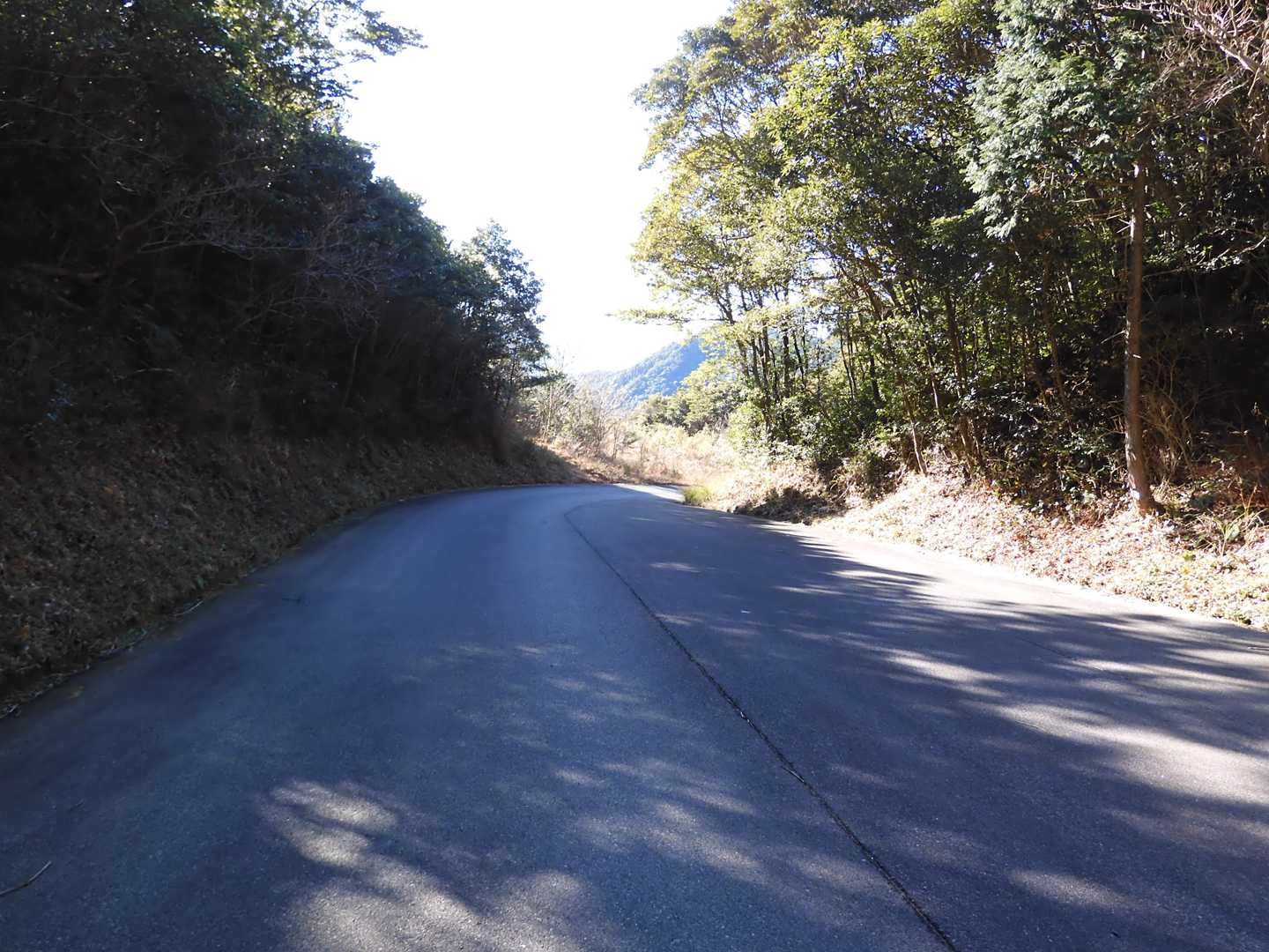 出発地点に帰着。
最後までご覧いただき有難うございました。