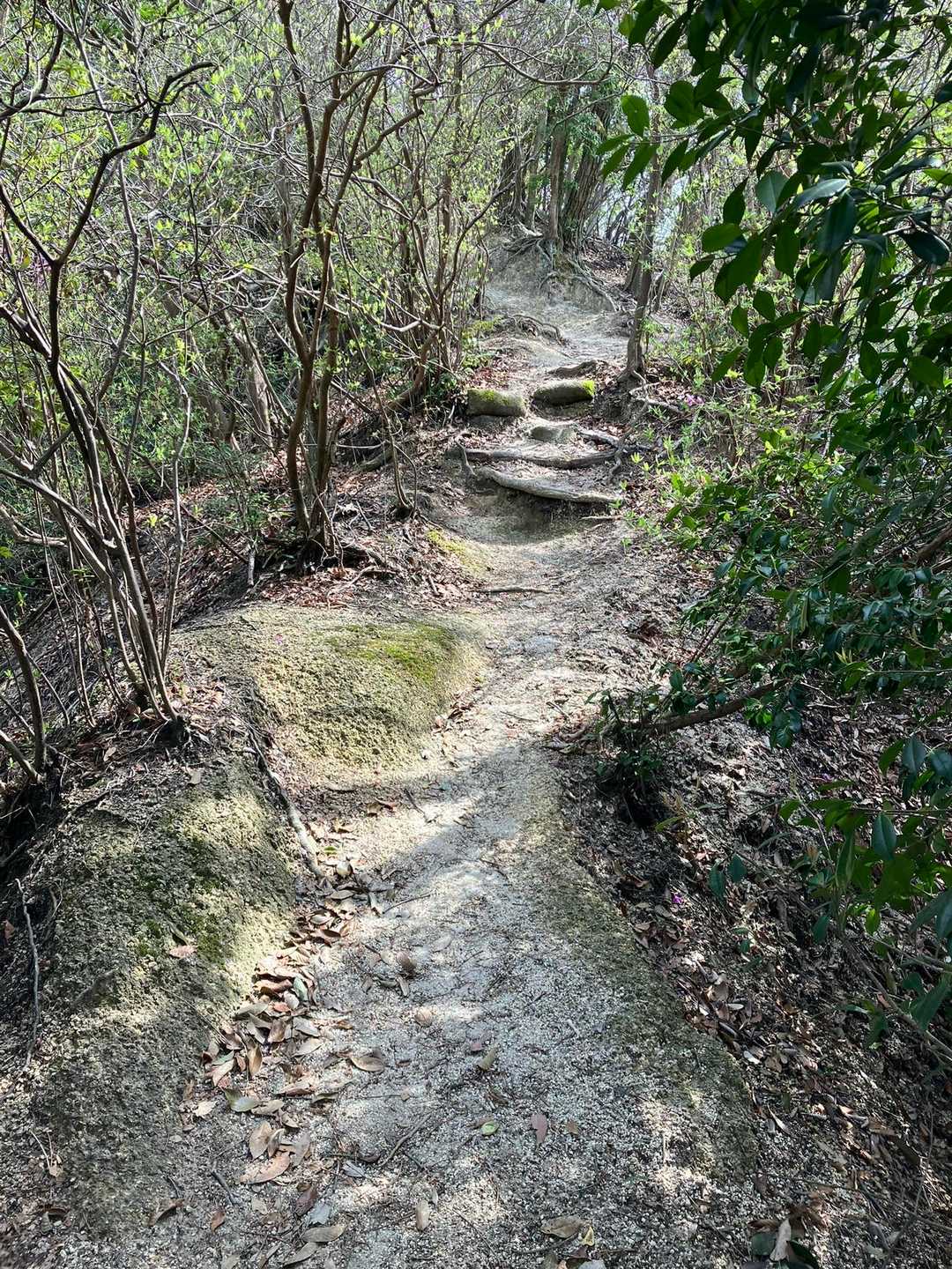 けっこう山道