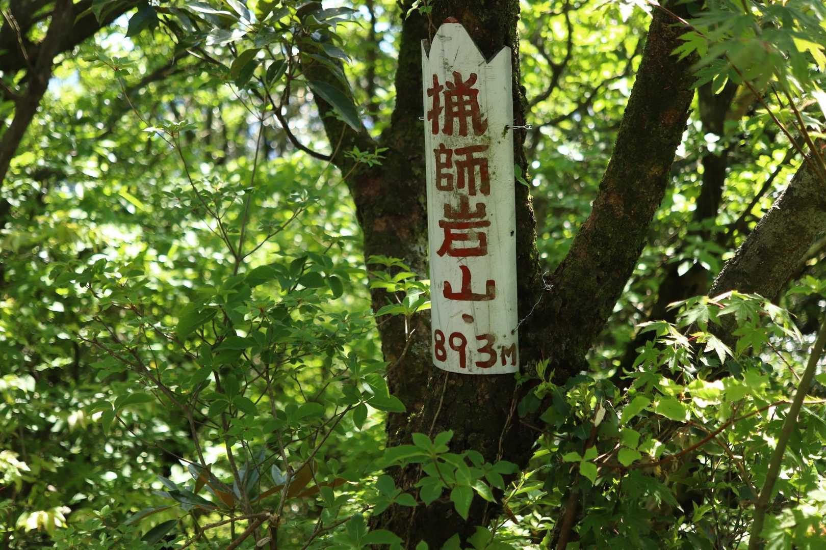 猟師岩山 893m 初です｡

脊振山系は羽金山〜河童山､三瀬山辺りが未踏｡
線繋ぎに行かなきゃ！