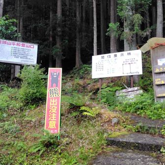 平和から