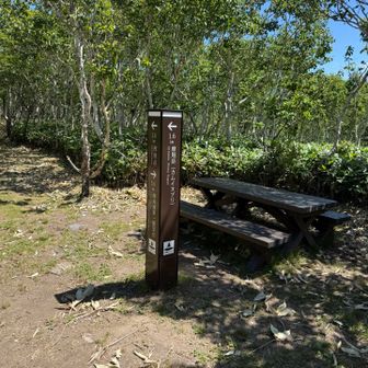 摩周岳まで1.6km地点:
ここの休憩所は風がないせいか、1mm程の小さな虫が全身に絡みつく
