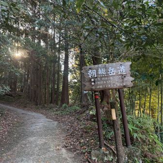 ではでは出発です