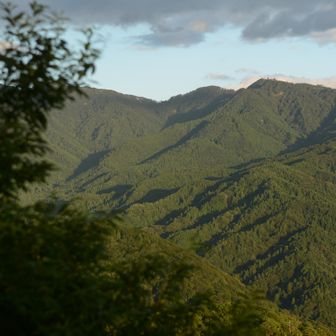 送電鉄塔のところが唯一眺めが良い
一番高いのは三国山　頂上は刈ってある