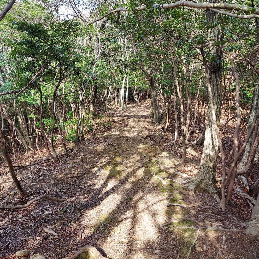 明るくてホント良い道♪︎
