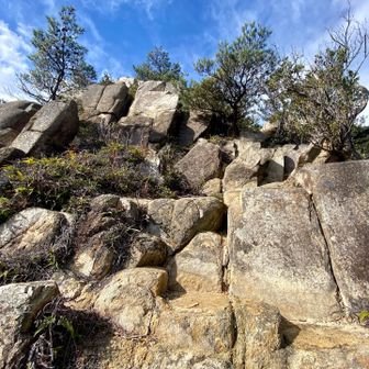 西峰はここを登るよ！