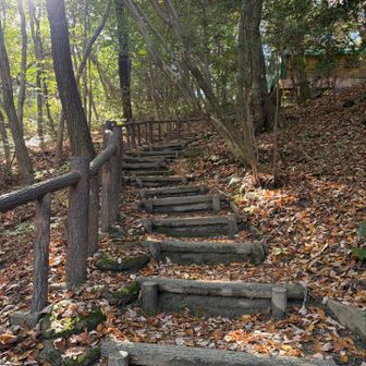 キャンプ場は入ったらあかん？
迷いまくって、この道？
登って行くと