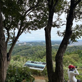 雄龍籠山展望台