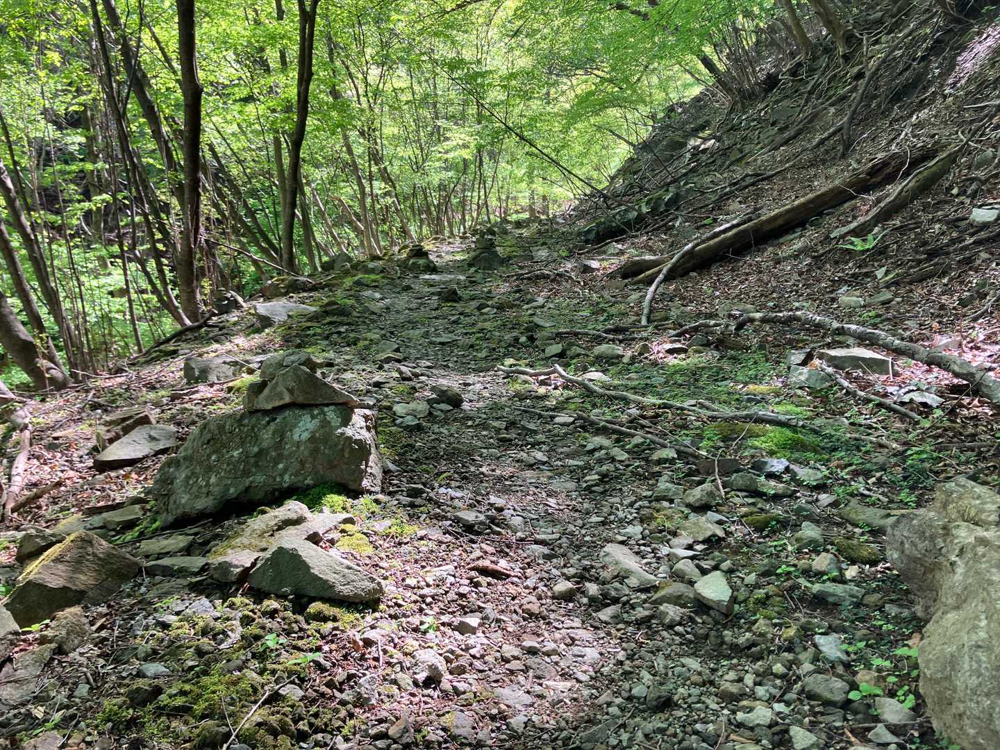 進むにつれ路面が荒れてきました。この辺りは異様な感じがするんです。落石に、ことごとく小石が積まれていて、宗教儀式のようにも感じられます。