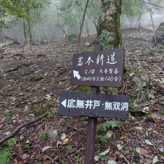 岩本新道から周回ルートとの
合流に