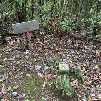 藤ノ尾山登頂
