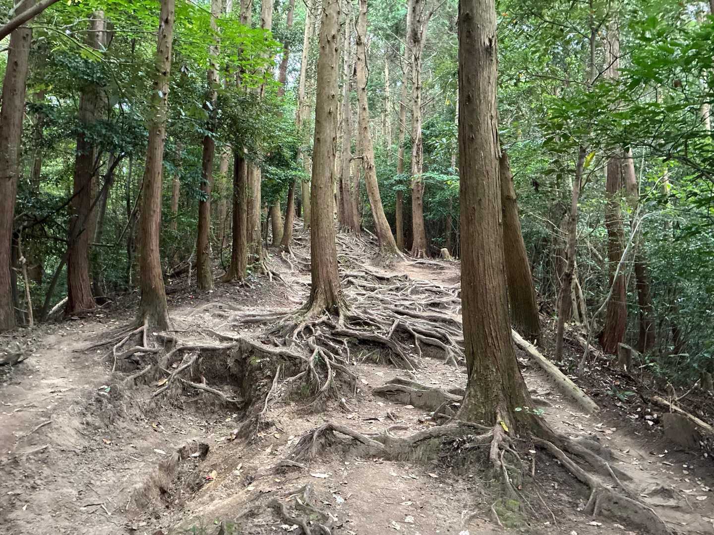 可也山往復 | 地元の遠足の定番。糸島富士の別名を持つ頂から眺める青色の写真