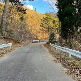 出たわー舗装路😗
前より短く感じた！