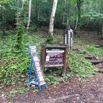 岩菅山登山口
『熊出没注意』の立札あり。
 頂上からずっと下の方に熊が見えたが、まさか今日､熊を見るとは…
