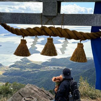 鳥居⛩️の下からも