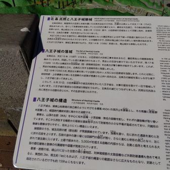 北条氏照は八王子城を築城し滝山城（昨夏行った）から移ったが、小田原籠城で城主不在時に落城、切腹