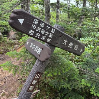 国師ヶ岳方面へ