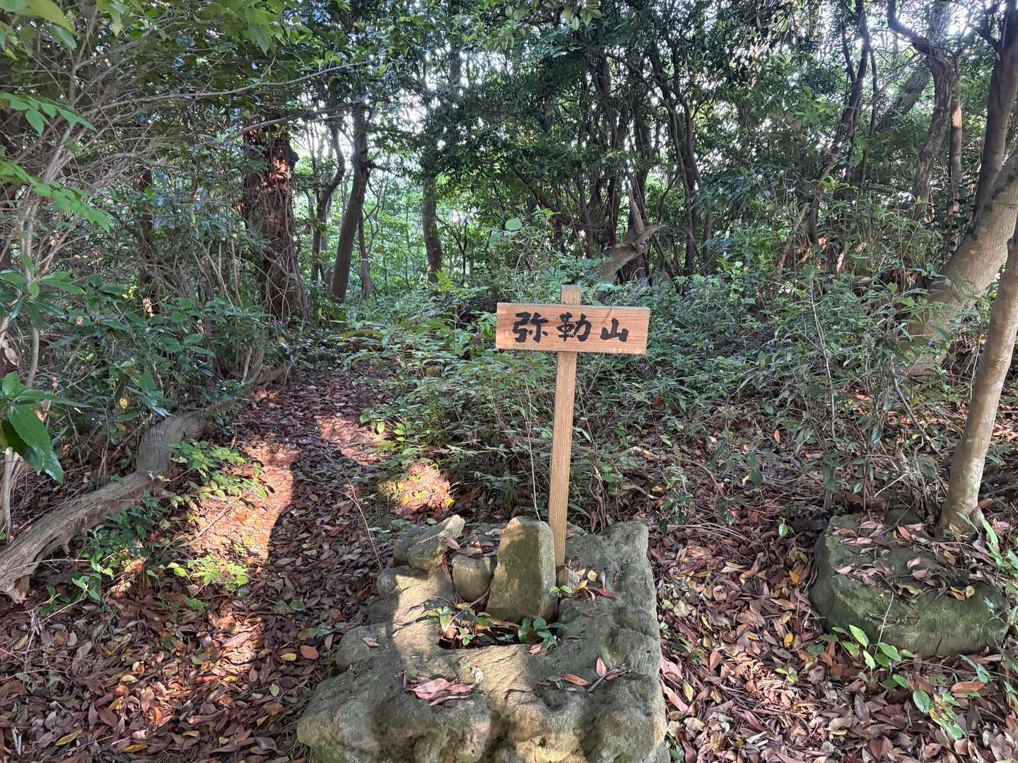 弥勒山さんちょ🙌