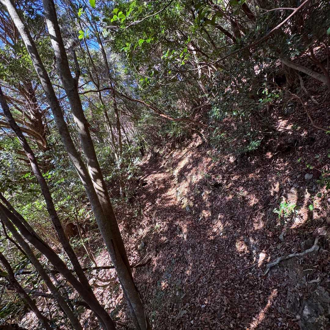 いい山道もあるが
とにかく道が細い💦