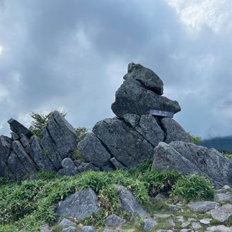 物見岩

最後は湿原周囲の通っていない道を歩く予定でしたが勢い余って道間違えてました。ここから戻るの面倒なので元の道へ繋がるルートで下ります